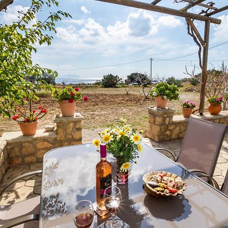 Venetia'S Garden Daire Lefkos  Dış mekan fotoğraf