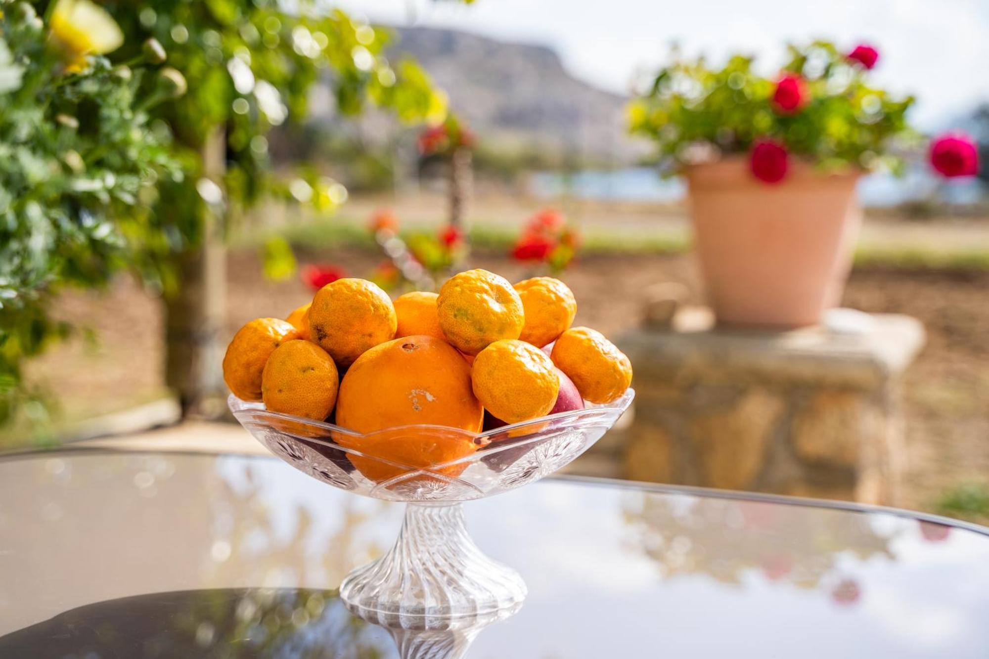 Venetia'S Garden Daire Lefkos  Dış mekan fotoğraf