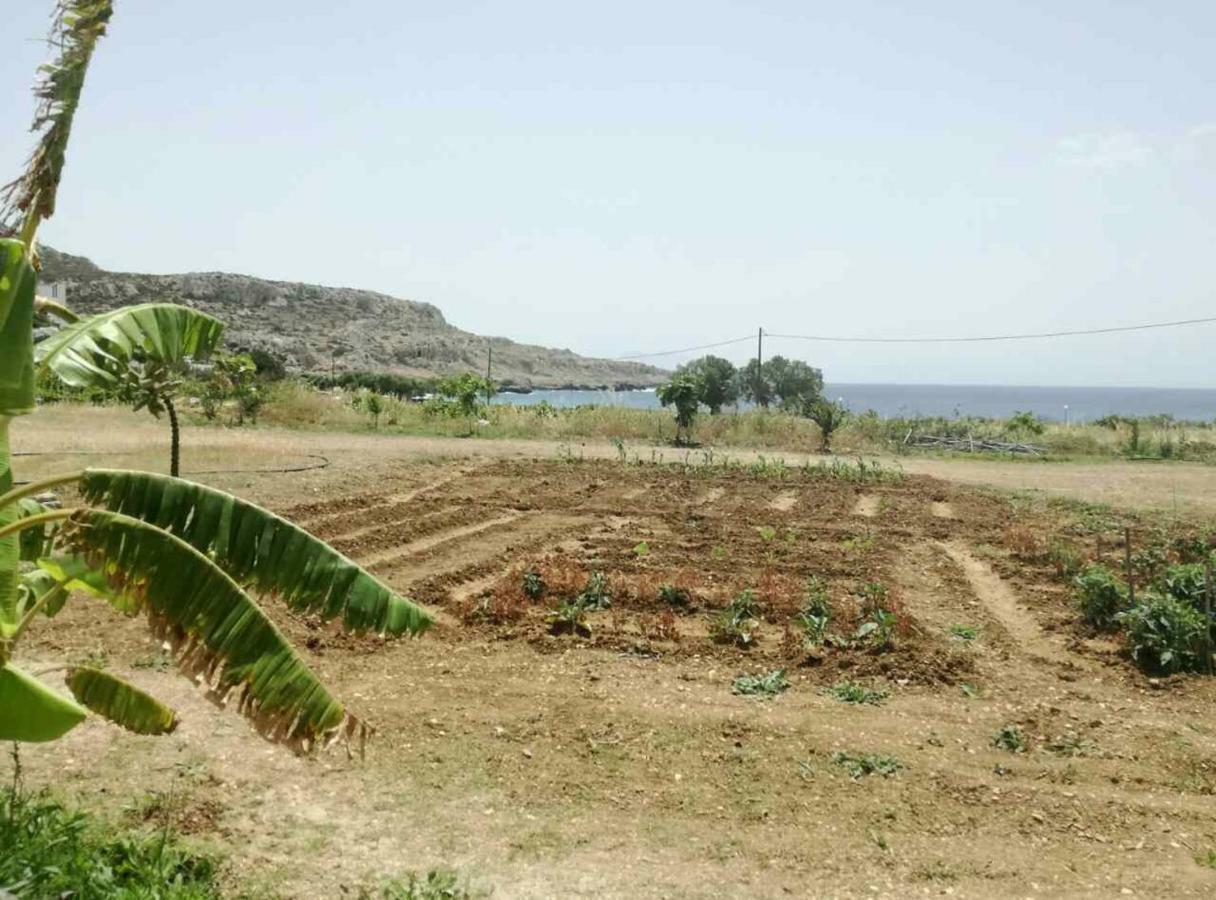 Venetia'S Garden Daire Lefkos  Dış mekan fotoğraf