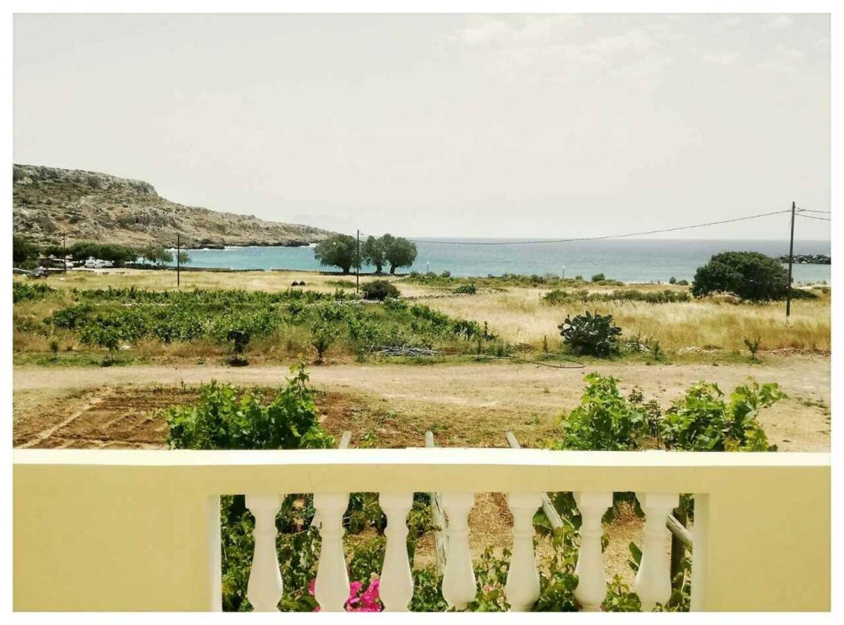Venetia'S Garden Daire Lefkos  Dış mekan fotoğraf